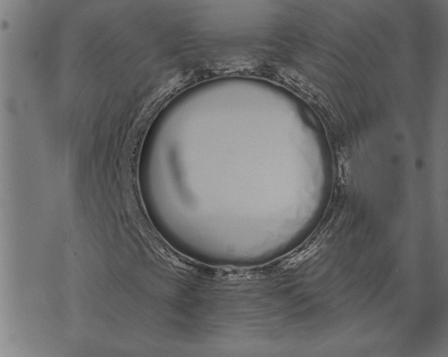 X0000073491393200608211638