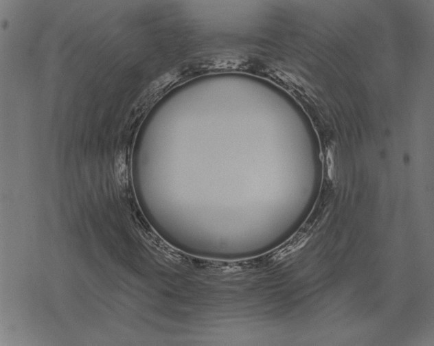 X0000073491395200608211638