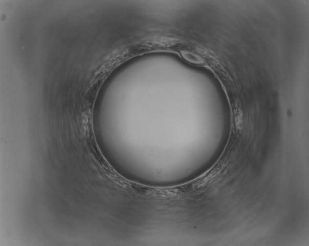 X0000073491397200608211638