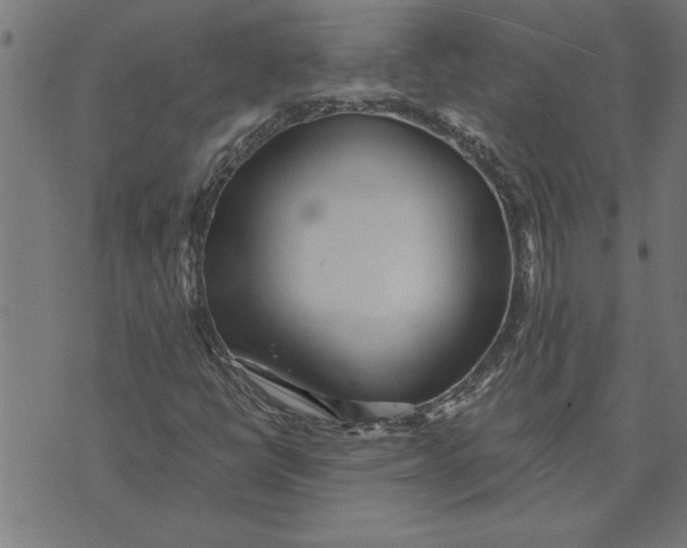 X0000073491398200608211638