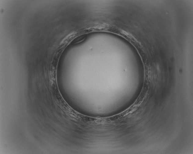 X0000073491399200608211638