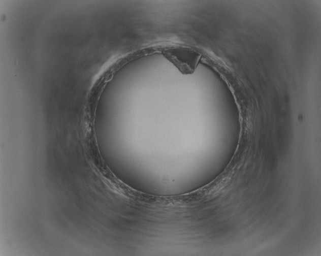 X0000073491400200608211638