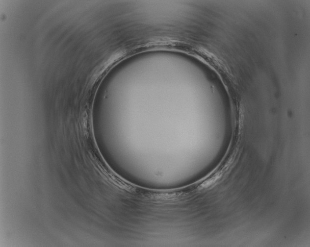 X0000073491401200608211638