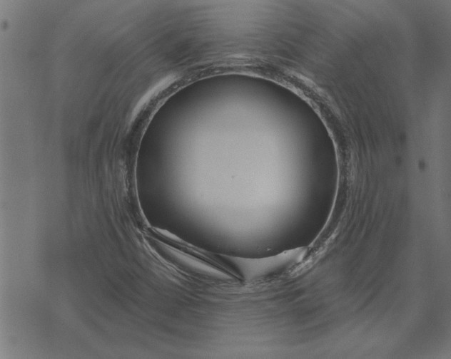 X0000073491402200608211638