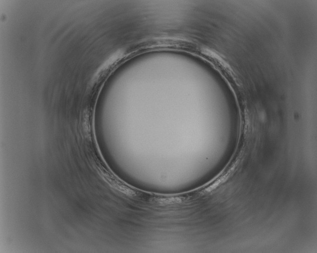 X0000073491403200608211638