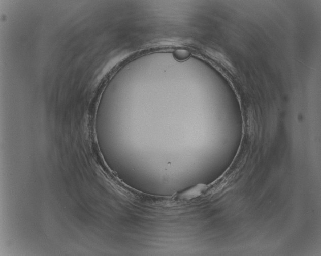 X0000073491404200608211638