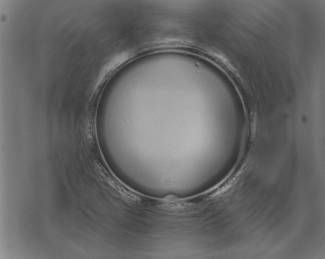 X0000073491405200608211638