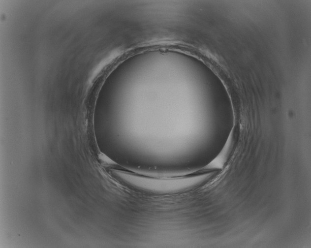 X0000073491406200608211638