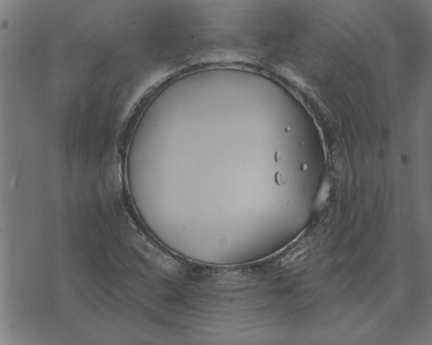 X0000073491408200608211638