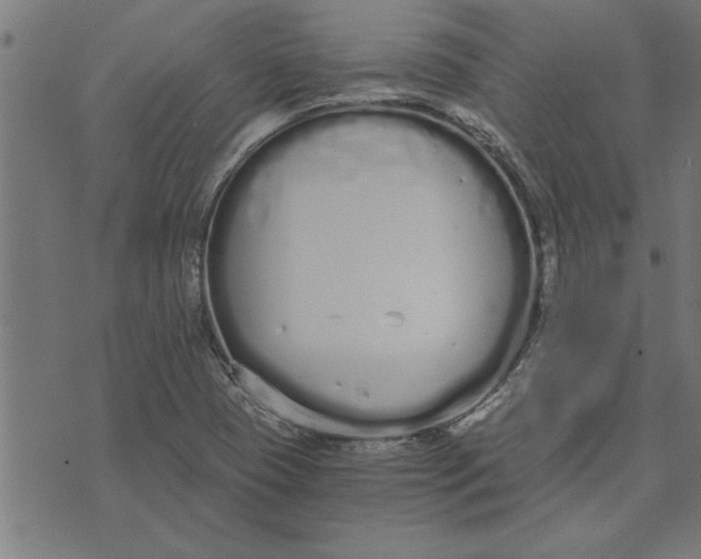 X0000073491409200608211638