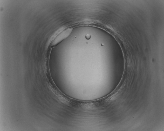 X0000073491410200608211638