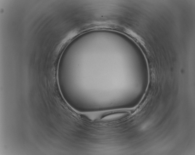 X0000073491411200608211638