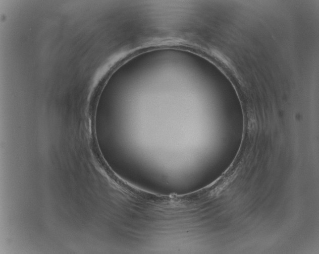 X0000073491414200608211638