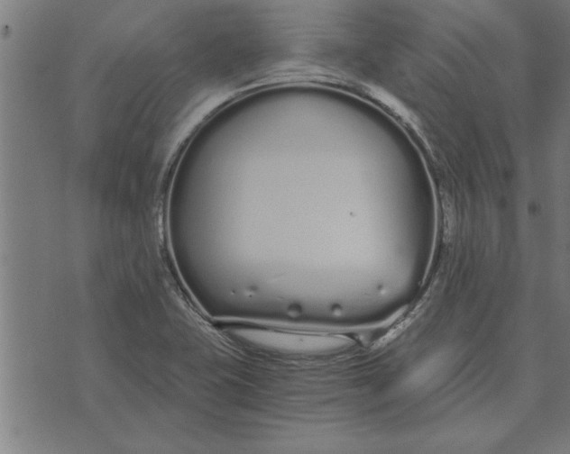 X0000073491415200608211638