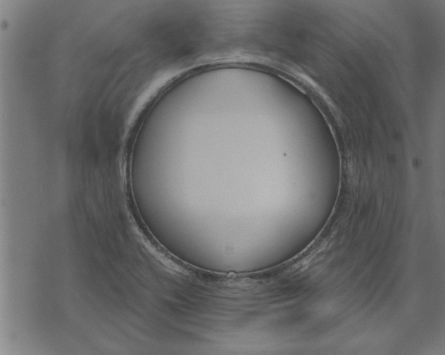 X0000073491416200608211638