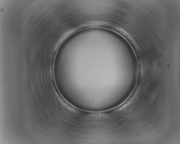 X0000073491417200608211638