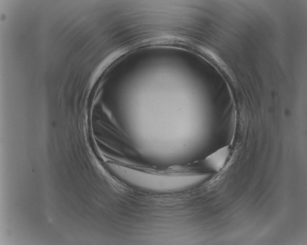 X0000073491418200608211638