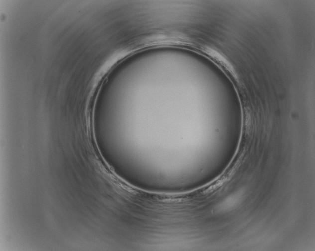 X0000073491419200608211638