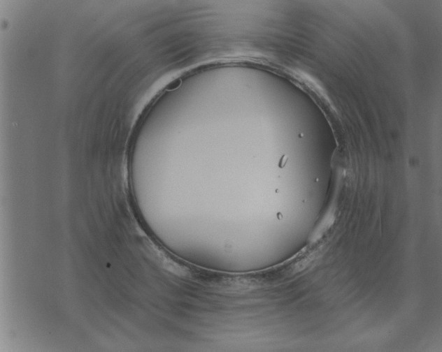 X0000073491420200608211638