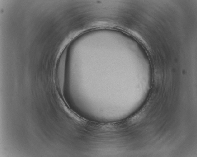 X0000073491421200608211638