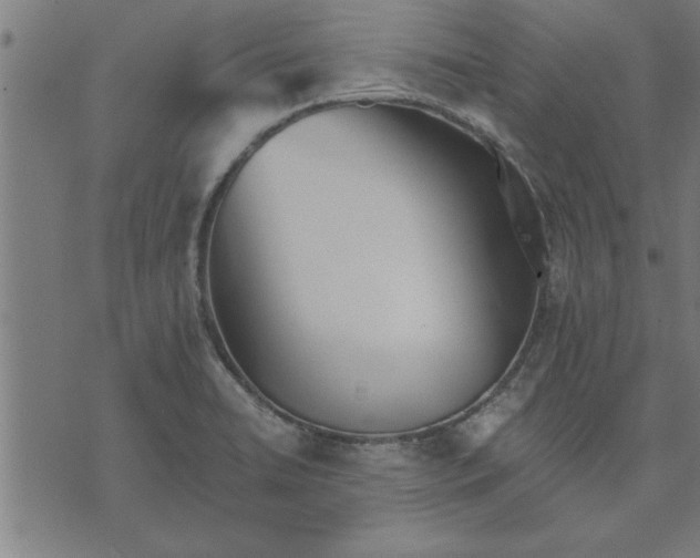 X0000073491422200608211638