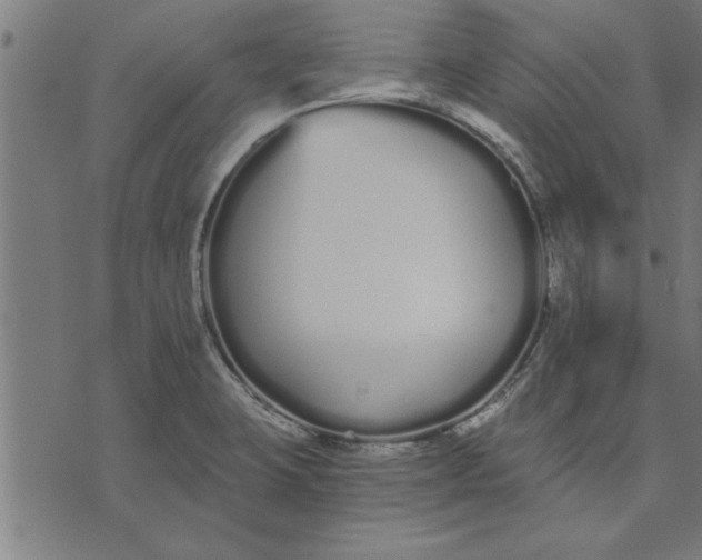 X0000073491423200608211638