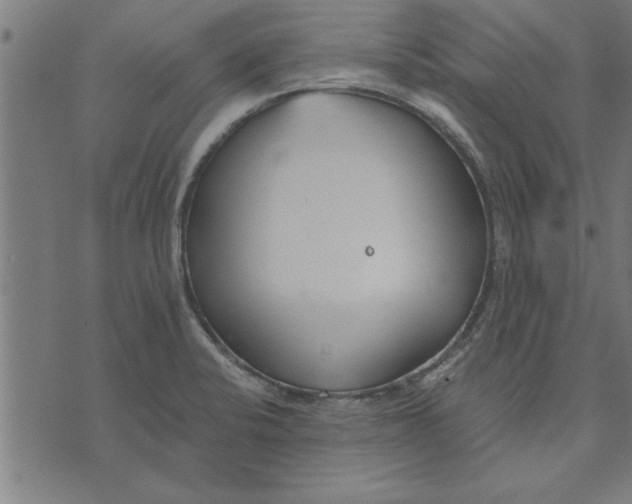 X0000073491424200608211638