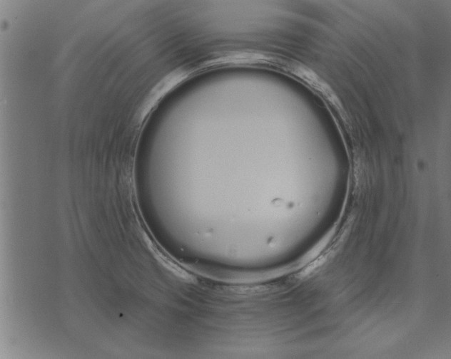 X0000073491425200608211638