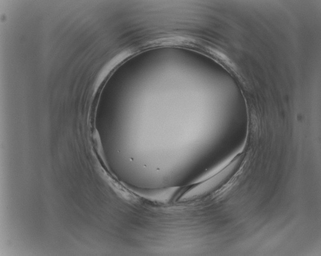 X0000073491426200608211638