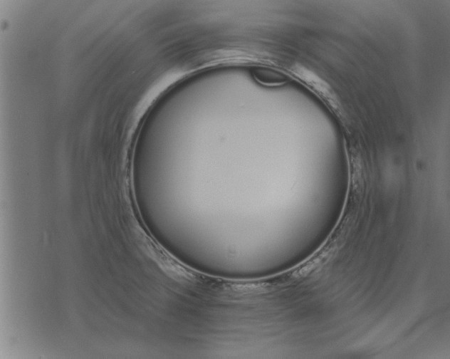 X0000073491427200608211638