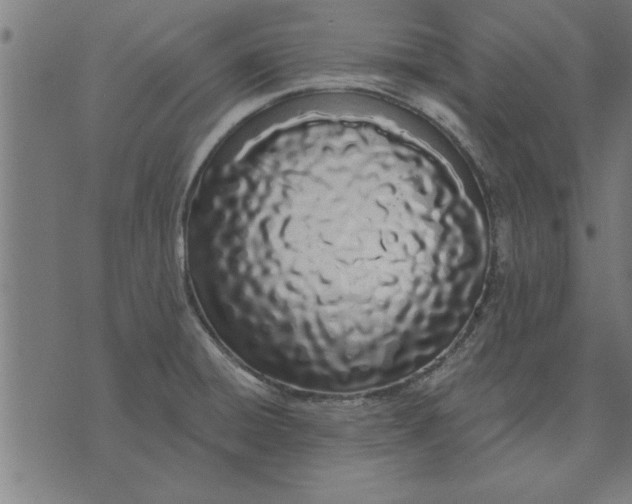 X0000073491428200608211639