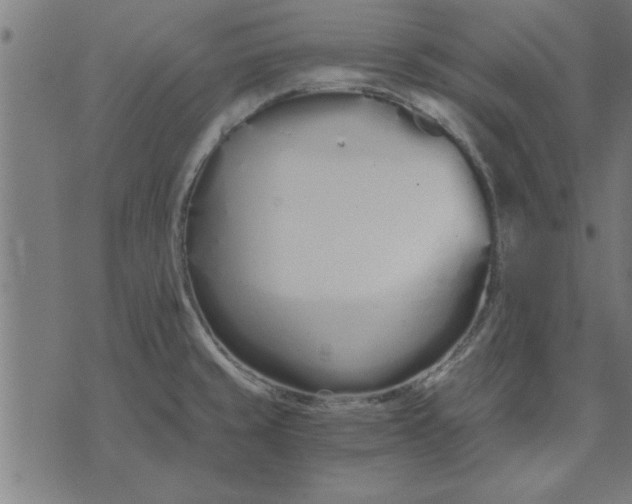 X0000073491429200608211639