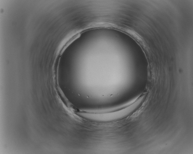 X0000073491430200608211639