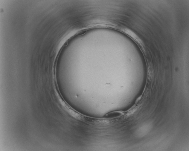 X0000073491431200608211639