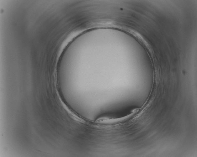 X0000073491432200608211639