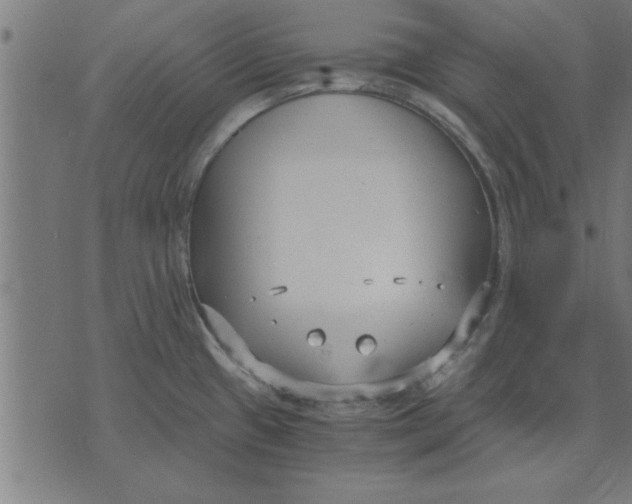 X0000073491433200608211639