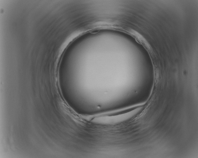 X0000073491435200608211639