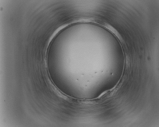 X0000073491436200608211639