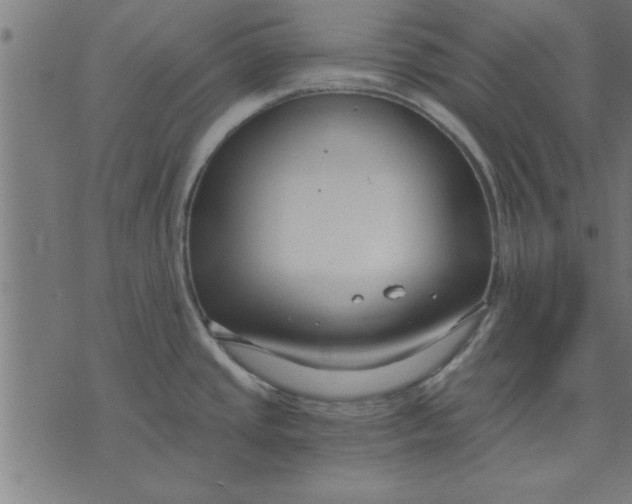 X0000073491437200608211639