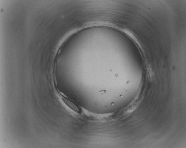 X0000073491438200608211639