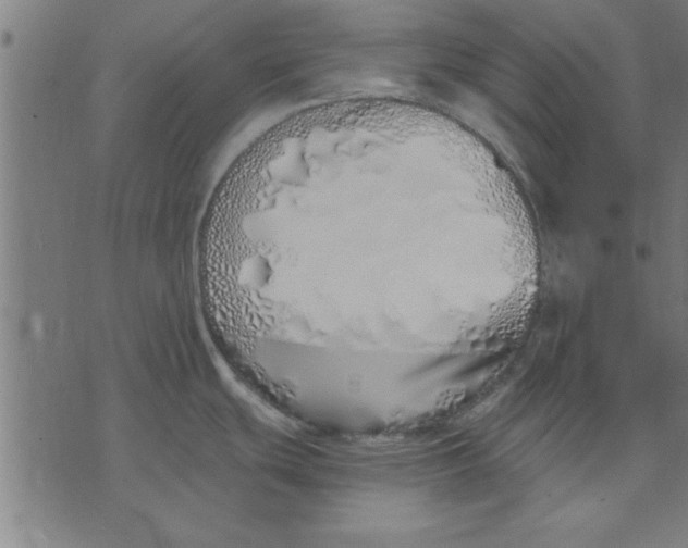 X0000073491439200608211639