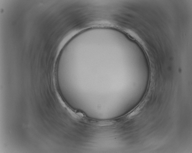 X0000073491440200608211639