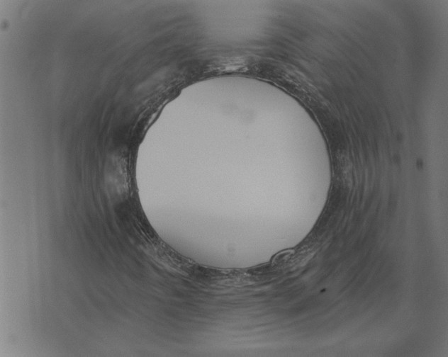 X0000073491442200608211638