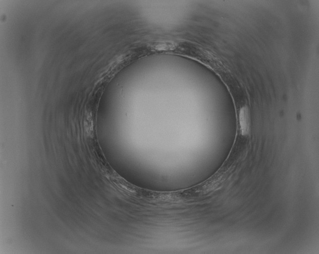 X0000073491443200608211638