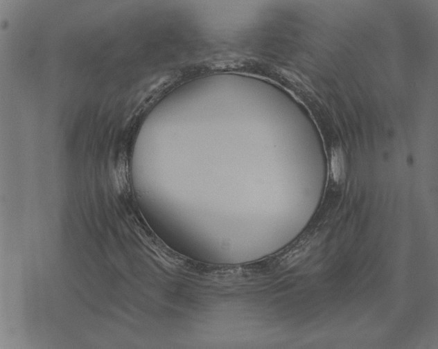 X0000073491444200608211638