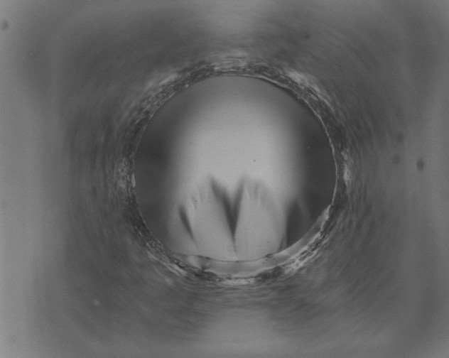 X0000073491445200608211638