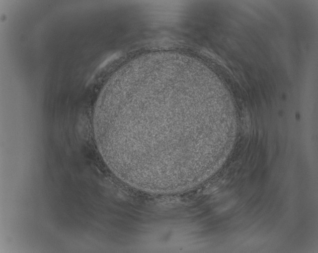 X0000073491446200608211638