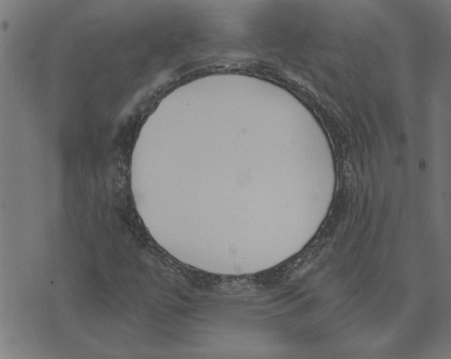 X0000073491447200608211638