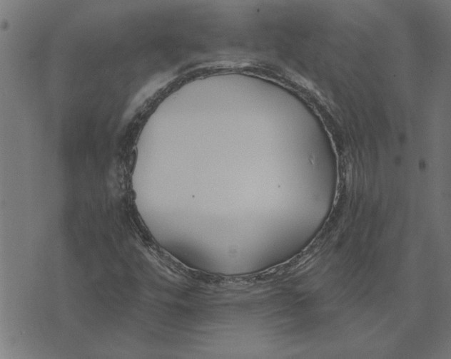 X0000073491448200608211638