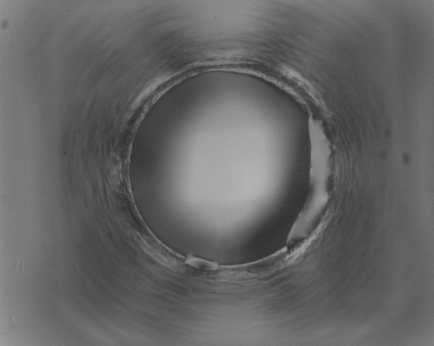 X0000073491449200608211638